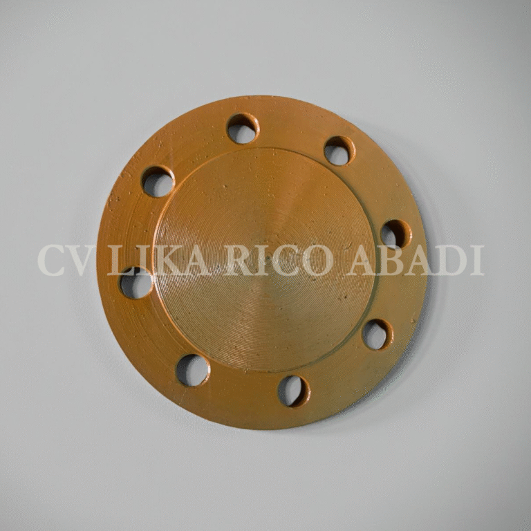 Blind Flange RF