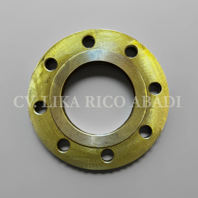 Flange PN RF