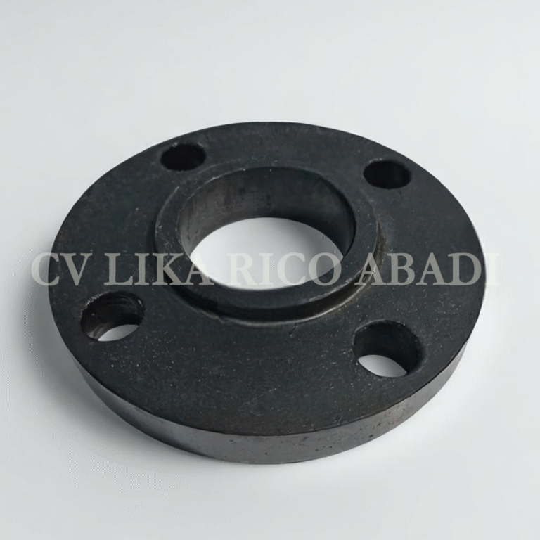 Flange ANSI Slip On RF